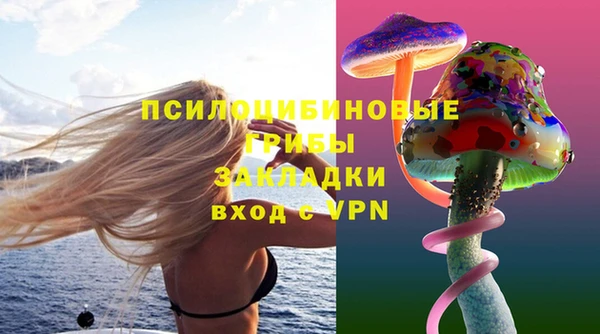 твердый Алексин