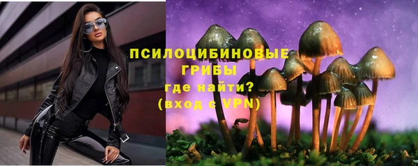 твердый Алексин