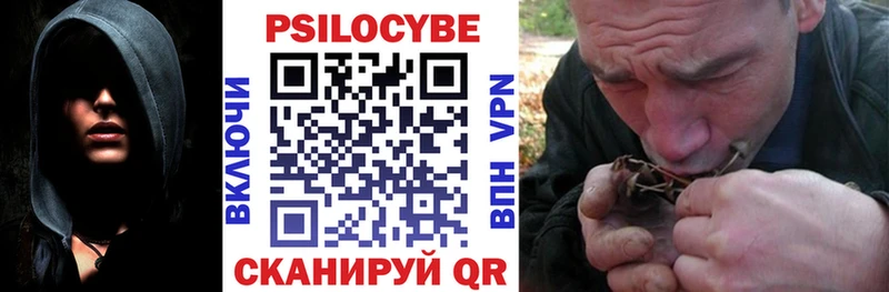 Купить закладки  Малгобек  Псилоцибиновые грибы Psilocybe 